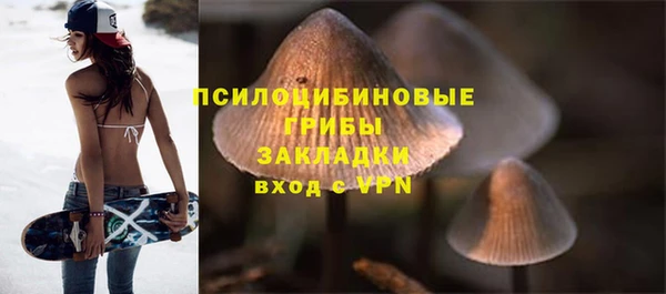 МДПВ Алексин