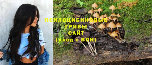 МДПВ Алексин