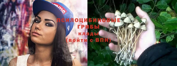 МДПВ Алексин