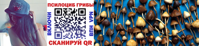 кракен ССЫЛКА  Белоозёрский  Псилоцибиновые грибы Psilocybe  купить  цена 